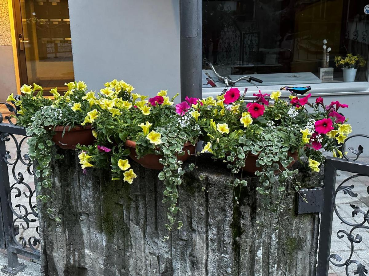 Haus Floralp Apartment Zermatt Ngoại thất bức ảnh